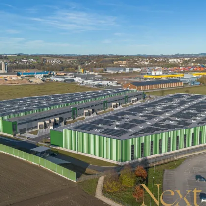 NEUBAU - Lager-/Produktionshalle (optional mit Büroflächen) in Enns/Ennshafen zu vermieten! - Bild 2