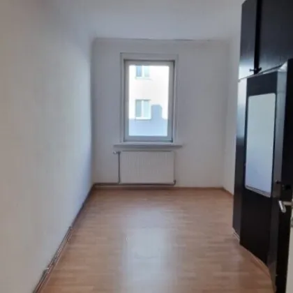 HELLE, SONNIGE 2-ZIMMER-WOHNUNG NAHE BHF FLORIDSDORF - Bild 3