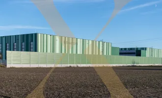 NEUBAU - Lager-/Produktionshalle (optional mit Büroflächen) in Enns/Ennshafen zu vermieten!