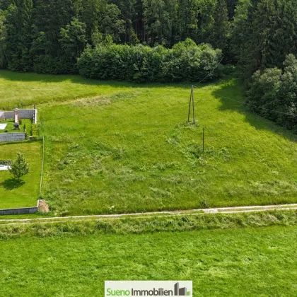 Baugrund ohne Bauzwang Nähe Gramastetten - Bild 2