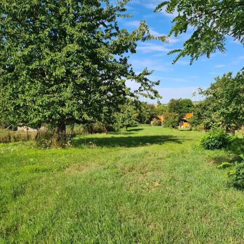TOP PREIS-LEISTUNGS-VERHÄLTNIS + Charmantes und helles Landhaus in wundervoller Lage+ Sonniger Garten 1.620 m² + 6 Zimmern und 2 Zufahrten++ - Bild 1
