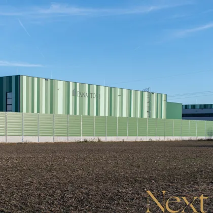 NEUBAU - Lager-/Produktionshalle (optional mit Büroflächen) in Enns/Ennshafen zu vermieten! - Bild 2
