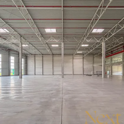 NEUBAU - Lager-/Produktionshalle (optional mit Büroflächen) in Enns/Ennshafen zu vermieten! - Bild 3