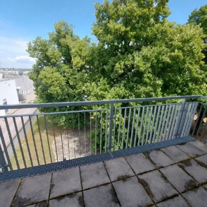 Helle, sonnige 3 Zimmerwohnung mit Balkon - beim  Marchfeldcenter - Bild 3