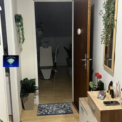 Bad Sauerbrunn Kurpark kleines entzückendes Einfamilienhaus-12240 - Bild 3