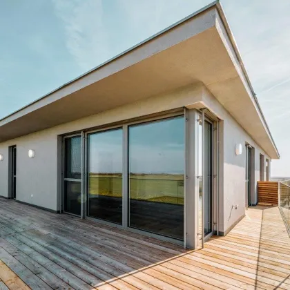 Luxuriöse 2 Zimmer Dachgeschoßwohnung als Erstbezug im Seepark Oggau! PROVISIONSFREI für den Käufer! - Bild 2