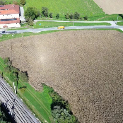Betriebsbaugrundstück (B) I 24.000 m² I ideale Verkehrsanbindung I Baubewilligung bereits vorhanden! - Bild 3