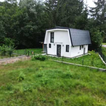 Sommer im Kleingarten - dein eigenes Kleingartenhaus wartet auf dich! - Bild 3