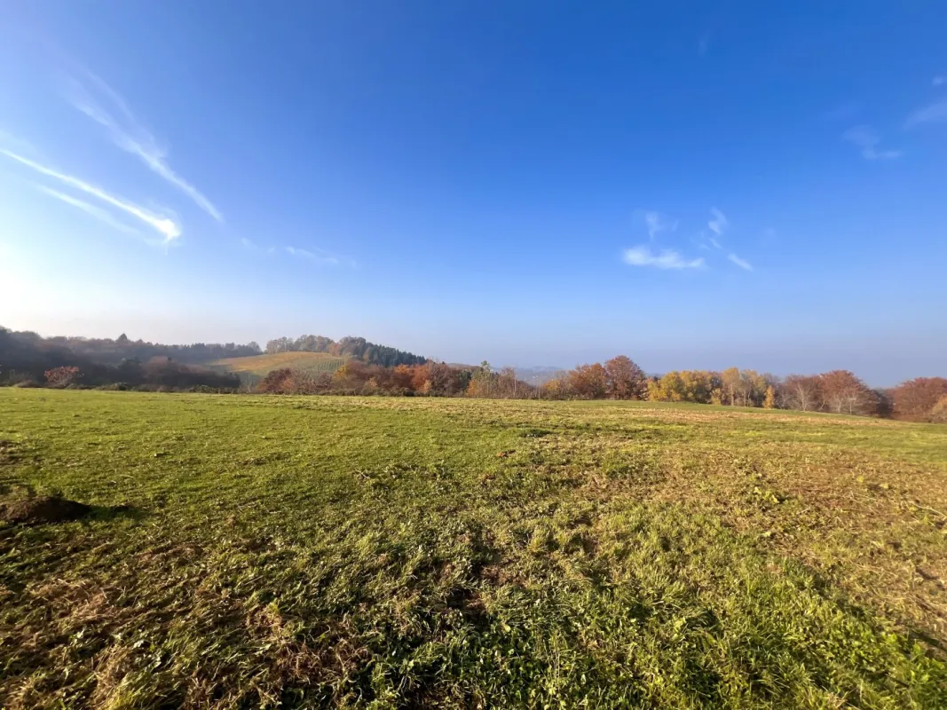 ZUM KAUF: Grundstück in der malerischen Südsteiermark - Bild 1