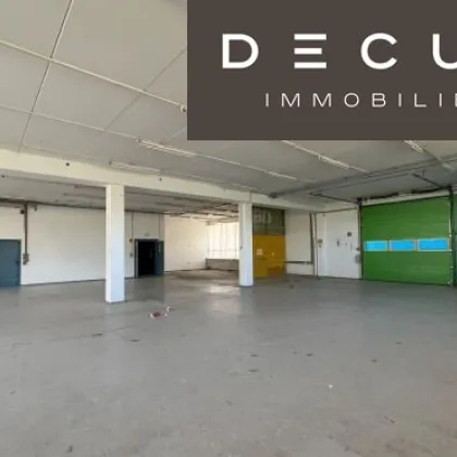 + + + BETRIEBSOBJEKT KNOTEN INZERSDORF + + + BÜRO und LAGER ca. 2.100 m² zzgl. Abstellfläche + + + - Bild 2