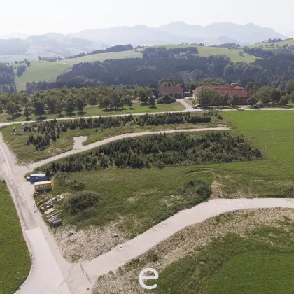 15 Baugrundstücke in idyllischer Lage in Waldneukirchen - Bild 3