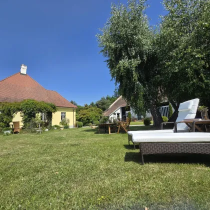 modernisierte Villa mit traumhaften Ausblick und großzügiger Freifläche - Bild 2