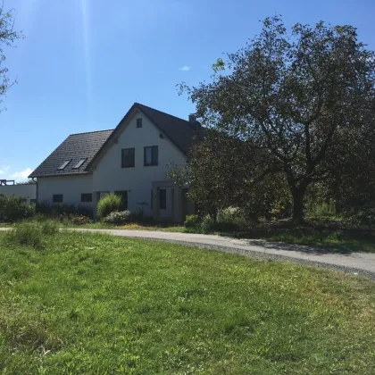 Großer Dreikant-Hof mit vielfältiger Nutzungsmöglichkeit; Wohngemeinschaft, Großfamilie, Seminare, landwirtschaftliche Aktivitäten - Bild 3