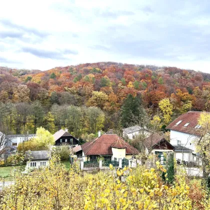 WOHNEN IM GRÜNEN - SONNIGES GRUNDSTÜCK AM RANDE DES WIENERWALDES! - Bild 2