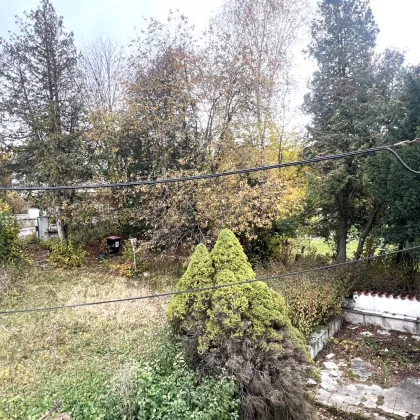 WOHNEN IM GRÜNEN - SONNIGES GRUNDSTÜCK AM RANDE DES WIENERWALDES! - Bild 3