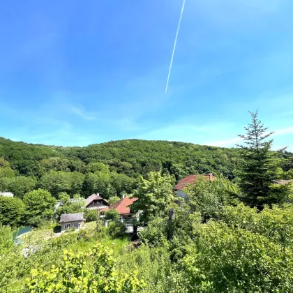 WOHNEN IM GRÜNEN - SONNIGES GRUNDSTÜCK AM RANDE DES WIENERWALDES! - Bild 3