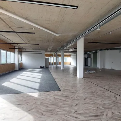 Neue großflächige Gewerbeliegenschaft am südlichen Stadtrand - Baurecht - Bild 3