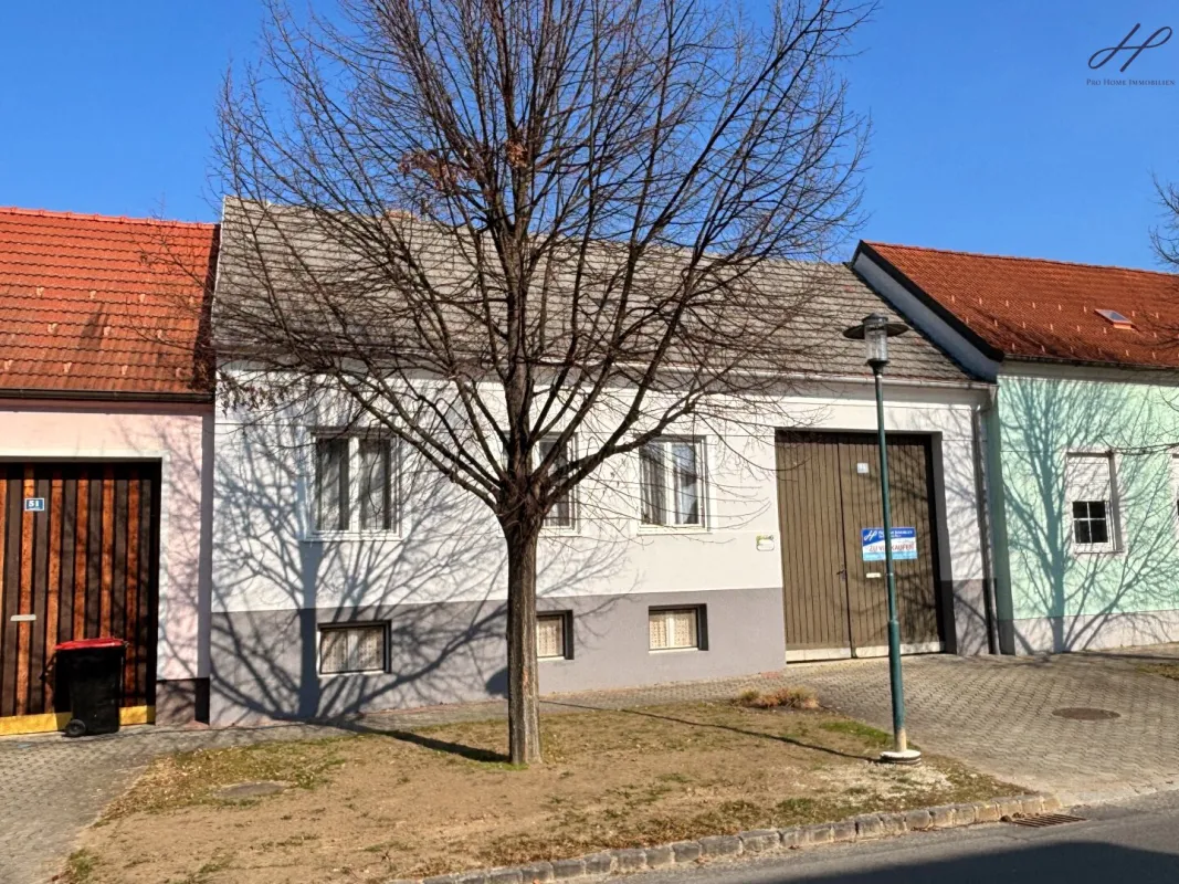 Streckhof auf 1208m² Grundstück - Bild 1