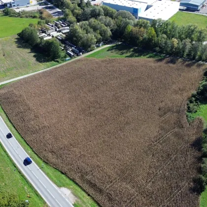 Betriebsbaugrundstück (B) I 12.000 m² I ideale Verkehrsanbindung I Baubewilligung bereits vorhanden! - Bild 2