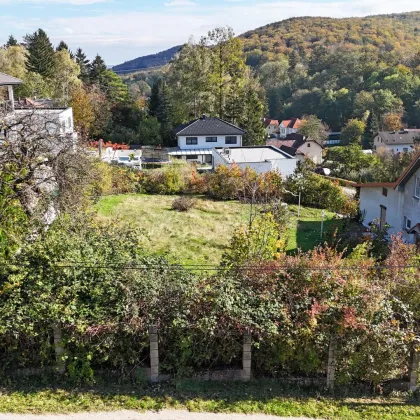 Sonniges Baugrundstück in traumhafter Südlage in Pressbaum - Bild 3