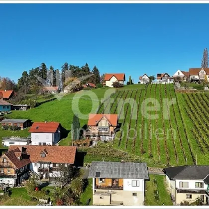 Haus in den Weinbergen - Bild 2