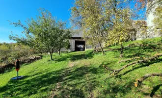 Vierkanthof im schönen Waldviertel im Bezirk Zwettl - ideal für Tierhaltung