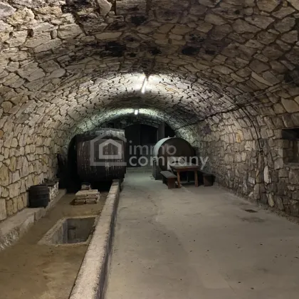 Traditionelles Bauernhaus mit historischem Weinkeller - Bild 2