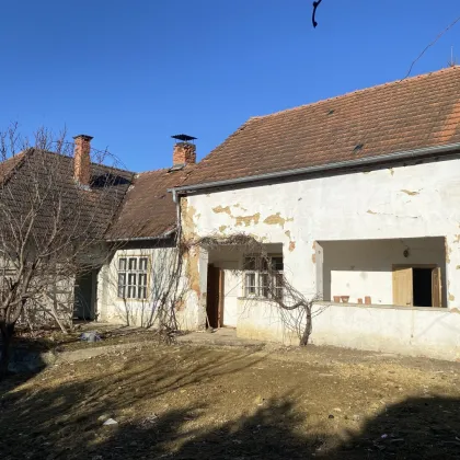 Bauernhof  mit Arkaden und Stadel zum Renovieren ! - Bild 2