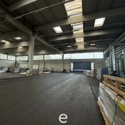 Lagerfläche / Produktionsfläche im Bezirk Ried im Innkreis zu vermieten! - Bild 3