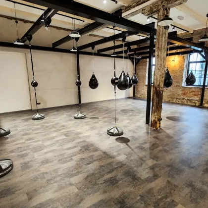 Einzigartiges LOFT-Studio mit eigenem Parkplatz-Areal - Bild 2