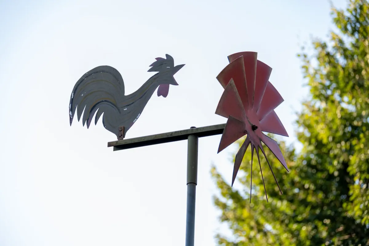 FAMILIENGLÜCK unter SCHWARZKIEFERN | Gewidmetes Baugrundstück im Zentrum von Velden am Wörthersee - Bild 1