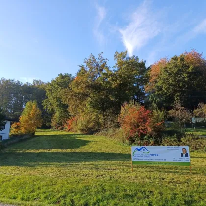 2 Grundstücke in Mehrnbach mit ca. 1000 m² - Bild 3