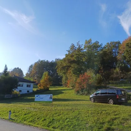 2 Grundstücke in Mehrnbach mit ca. 1000 m² - Bild 2