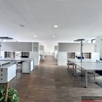 Repräsentative Büroflächen in Urfahr nähe Rathaus - Bild 2