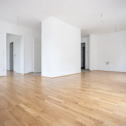 ERSTBEZUG "ein viertel grün" - traumhafte 2 Zimmerwohnung mit Balkon und Tiefgaragenstellplatz in Wr. Neustadt - provisionsfrei - Bild 2