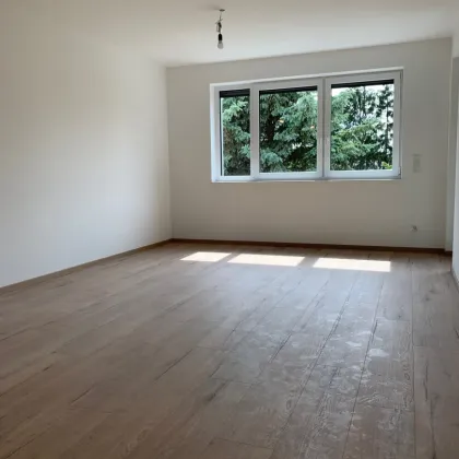 TOP Anlegerwohnung in Leobendorf - Bild 3