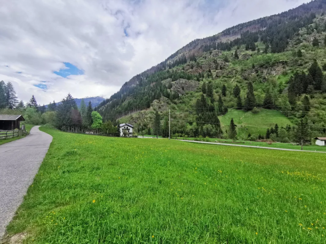 Baugrund sucht Traumhaus! - Bild 1