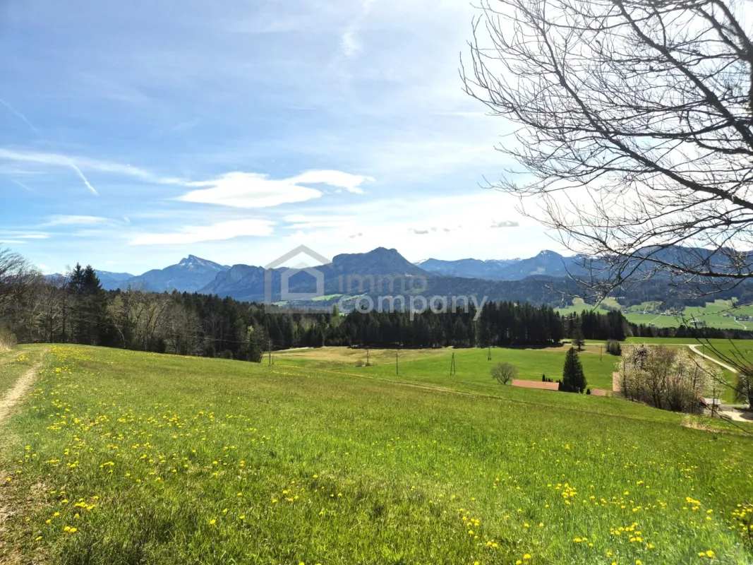 Ihr Traumgrundstück in Thalgauberg: 954m² mit atemberaubendem Bergblick! - Bild 1