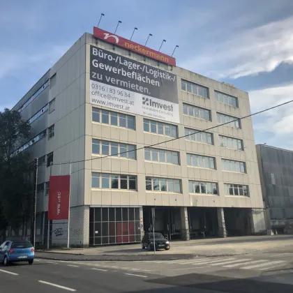 Werbefläche – Triester Straße - Graz/Puntigam – perfekte Sichtbarkeit in hochfrequentierter Lage - Bild 2