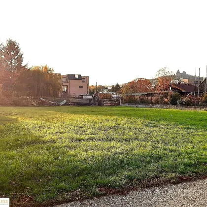 PROVISIONSFREI!     10 Minuten vor Wien!    Wunderschönes, sonniges Grundstück für den Bau Ihres Traumhauses mit Blick auf die Burg Kreuzenstein - Bild 3