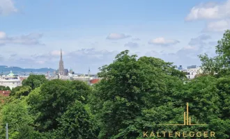 Blick auf den Stephansdom + Schloss Belvedere: Frisch sanierte Stadtwohnung!