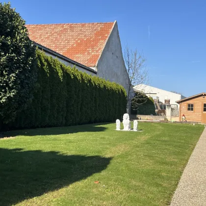 Loipersbach Topgepflegtes sehr gemütliches Einfamilienhaus-1231 - Bild 3