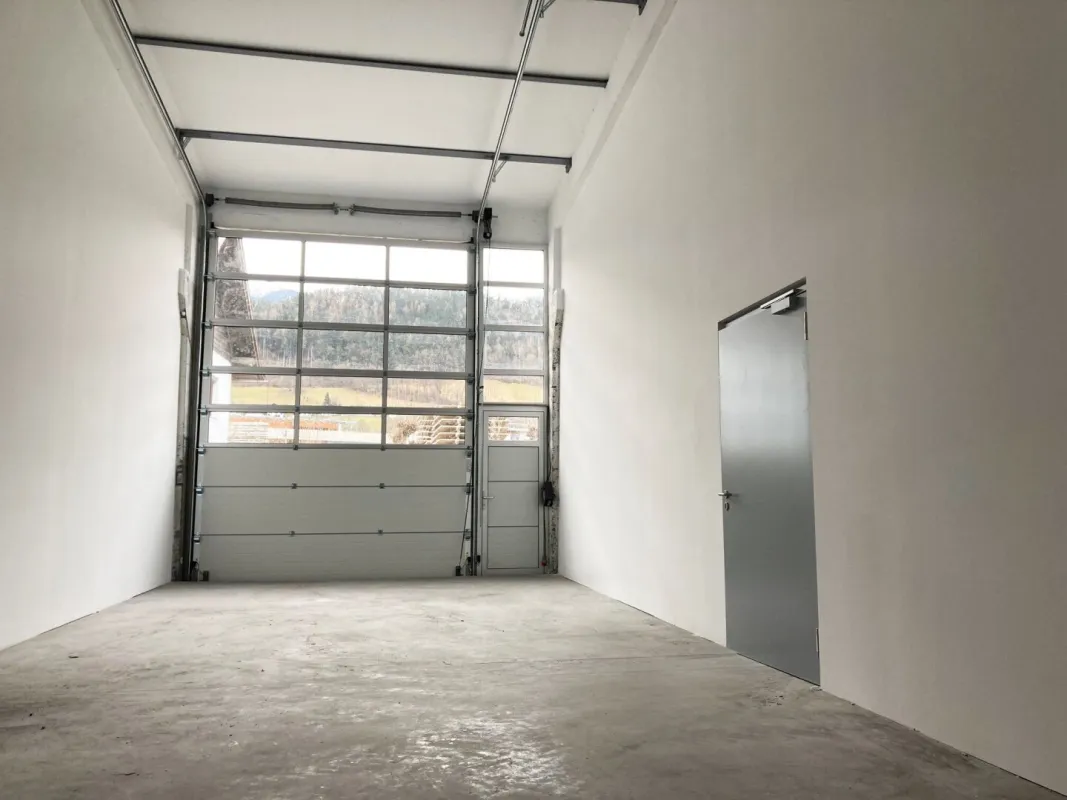 Großzügige Lagerhalle mit Sektionaltor - Bild 1