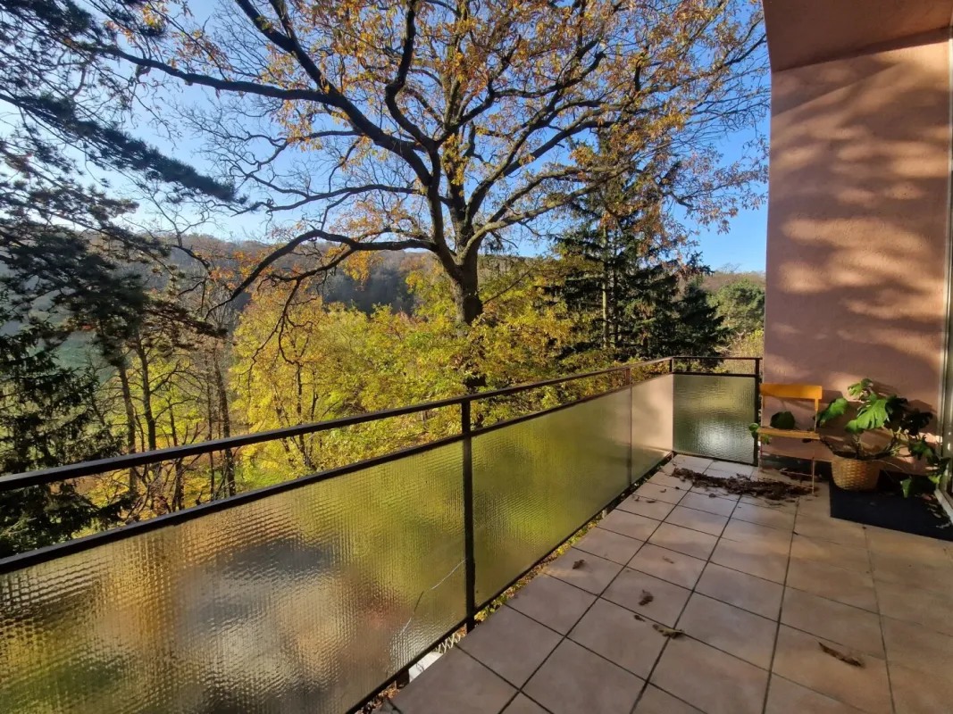 PÖTZLEINSDORFER PARK - NEU SANIERT - LOFTARTIGE ARCHITEKTENWOHNUNG - TRAUMHAFTE LAGE - GRÜNBLICK - 4 ZIMMER + grosser BALKON - Bild 1