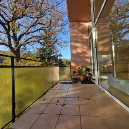 PÖTZLEINSDORFER PARK - NEU SANIERT - LOFTARTIGE ARCHITEKTENWOHNUNG - TRAUMHAFTE LAGE - GRÜNBLICK - 4 ZIMMER + grosser BALKON - Bild 3