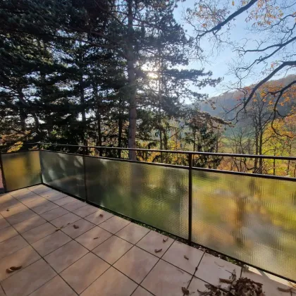 PÖTZLEINSDORFER PARK - NEU SANIERT - LOFTARTIGE ARCHITEKTENWOHNUNG - TRAUMHAFTE LAGE - GRÜNBLICK - 4 ZIMMER + grosser BALKON - Bild 2