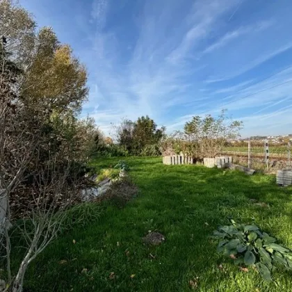 Exklusives Traumgrundstück für Ihr Eigenheim in Neusiedl am See - Bild 2