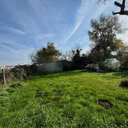 Exklusives Traumgrundstück für Ihr Eigenheim in Neusiedl am See - Bild 3