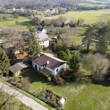 Paradiesisch inmitten der Natur! Vielfältig gestaltbares Bestandshaus mit großem Grundstück in Lanzenkirchen - Bild 3