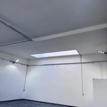Große Halle, Werkstatt mit Lichtkuppel, Sektionaltor 5m breit, 4,30m hoch und WC (inkl. PKW Parkplatz) PROVISIONSFREI!!! - Bild 3